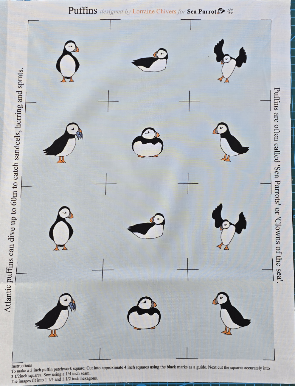 Sea Parrot Designs Snowdrops Spring Garden