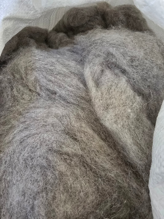 Natural grey Shetland rovings  100g ball 